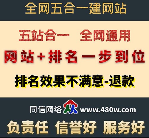 做好營銷性網站建設后的優(yōu)化技巧有哪些